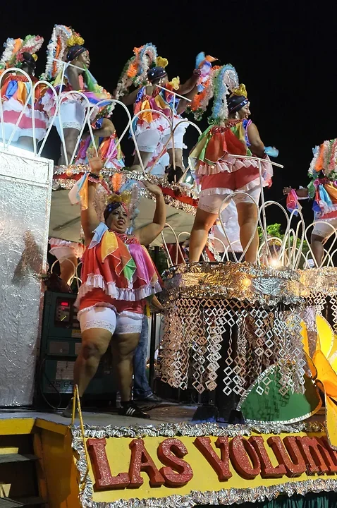 Le carnaval - Photo n°8