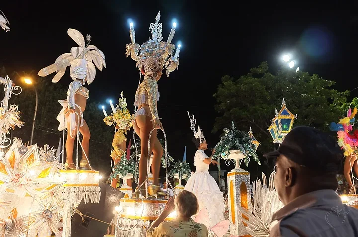 Le carnaval - Photo n°10