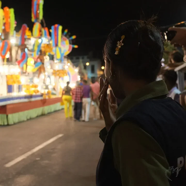 Le carnaval - Photo n°13