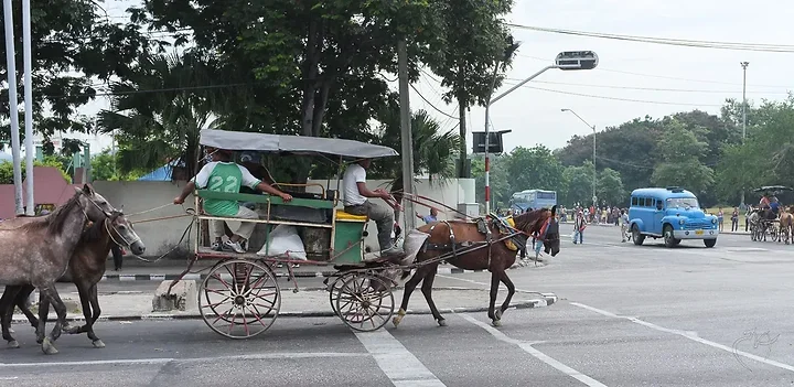 Les v&eacute;hicules &agrave; Santiago - Photo n°22