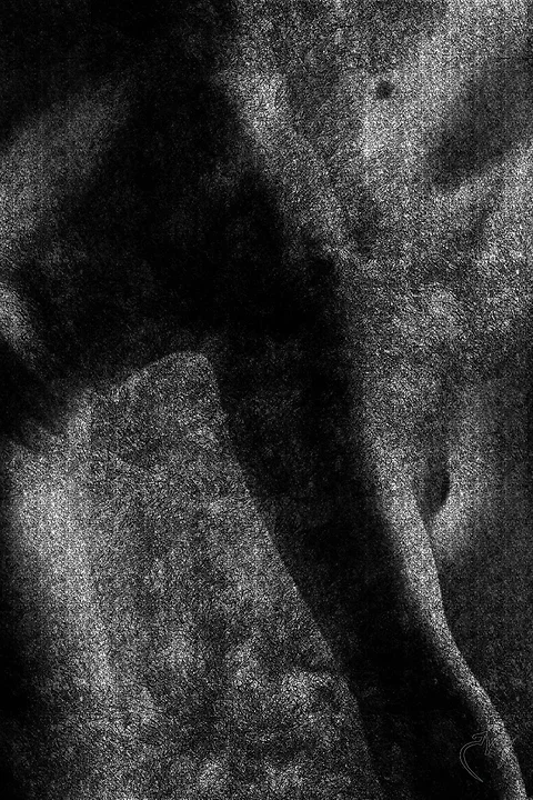 Clair obscur - Photo n°2