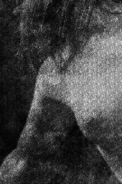 Clair obscur - Photo n°3