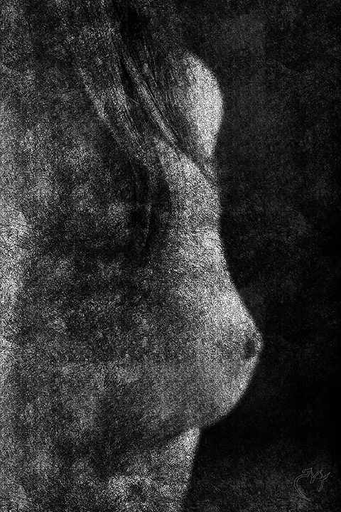 Clair obscur - Photo n°5
