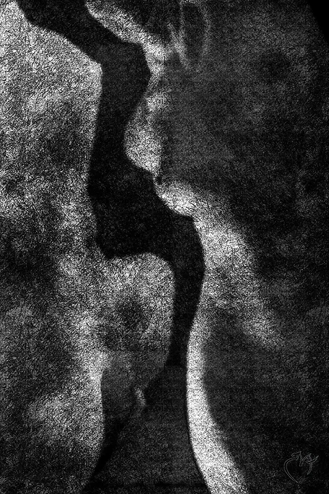 Clair obscur - Photo n°7