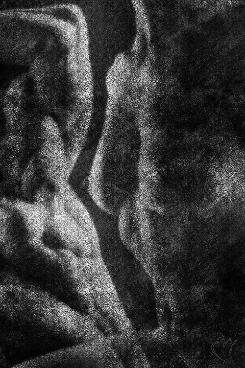 Clair obscur - Photo n°8
