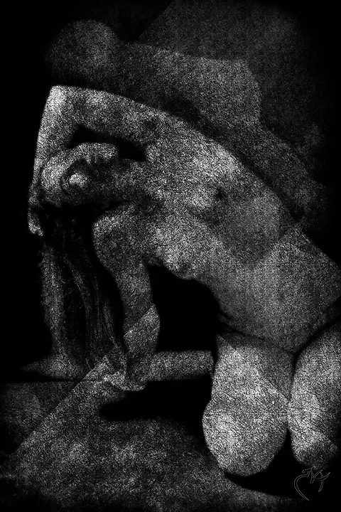 Clair obscur - Photo n°10