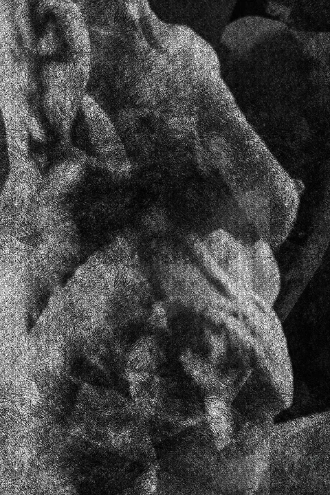 Clair obscur - Photo n°11