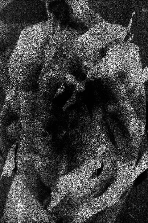Clair obscur - Photo n°15