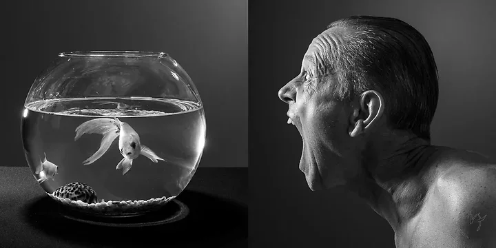 Pr&eacute;dateur - Photo n°1