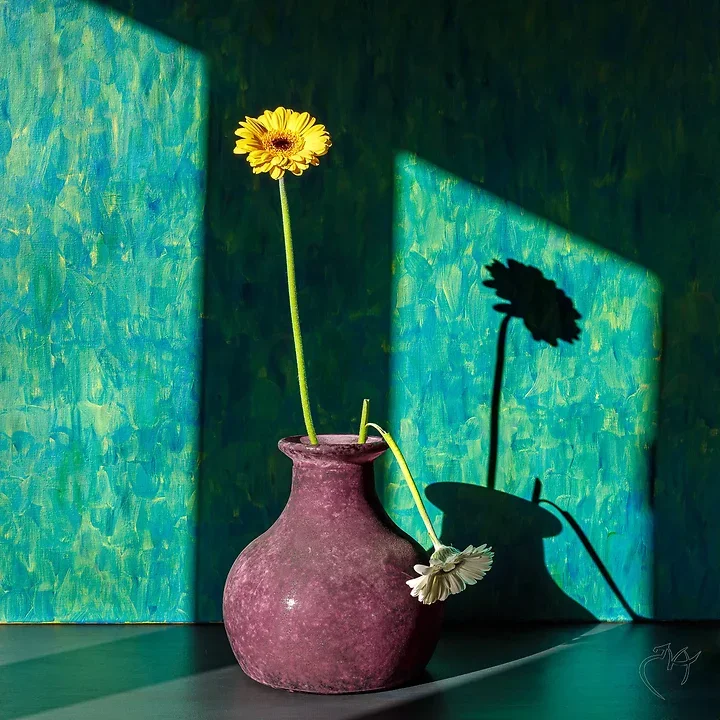 Nature Morte - Photo n°1