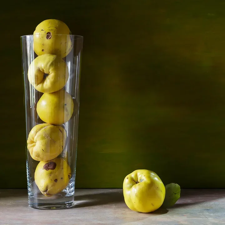 Nature Morte - Photo n°2