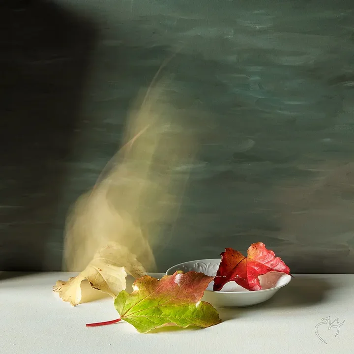 Nature Morte - Photo n°4