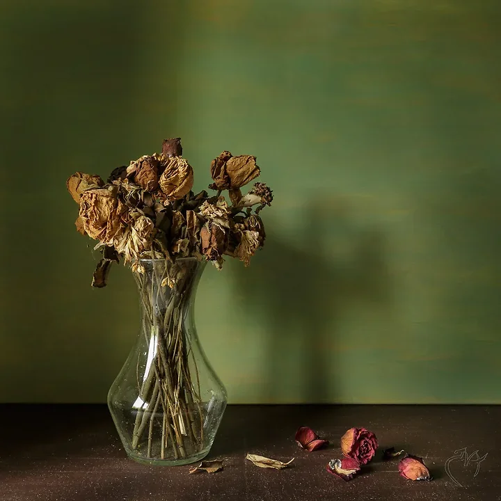 Nature Morte - Photo n°5