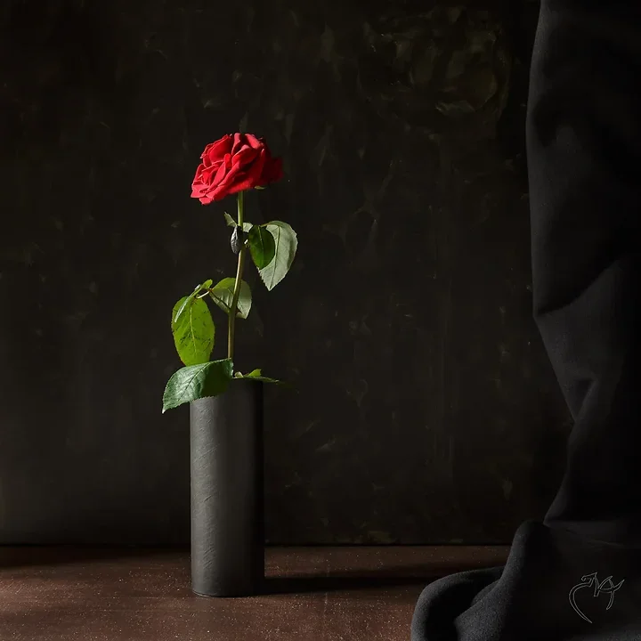 Nature Morte - Photo n°6