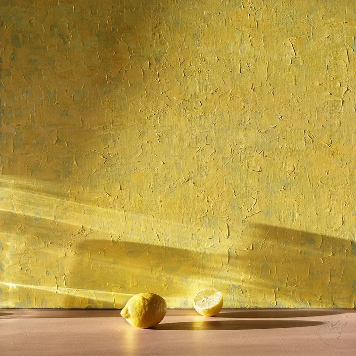 Nature Morte - Photo n°14