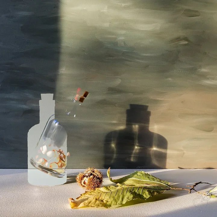 Nature Morte - Photo n°16