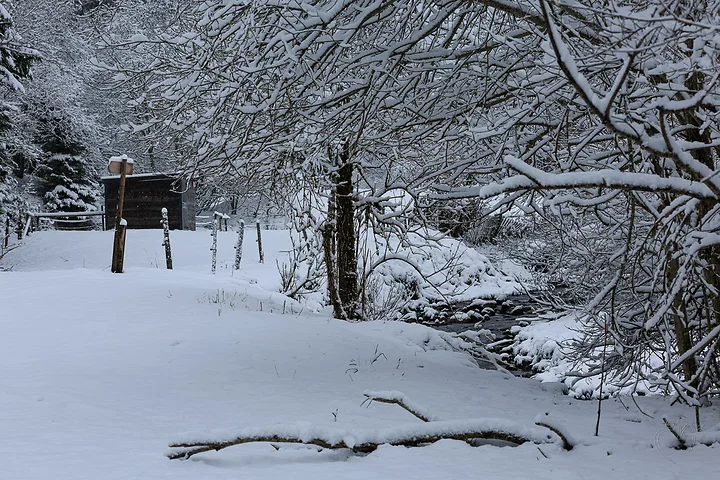 Paysages de neige - Photo n°1