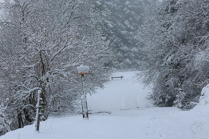 Paysages de neige - Photo n°2