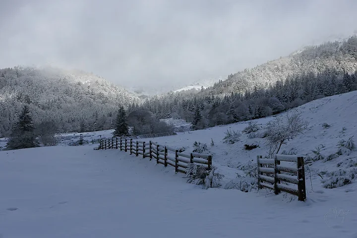 Paysages de neige - Photo n°3
