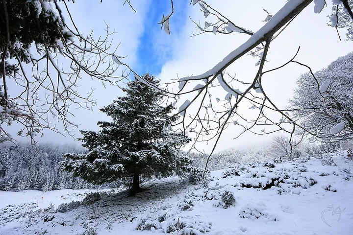 Paysages de neige - Photo n°5