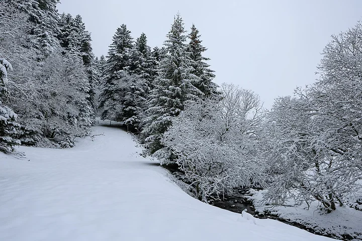 Paysages de neige - Photo n°12