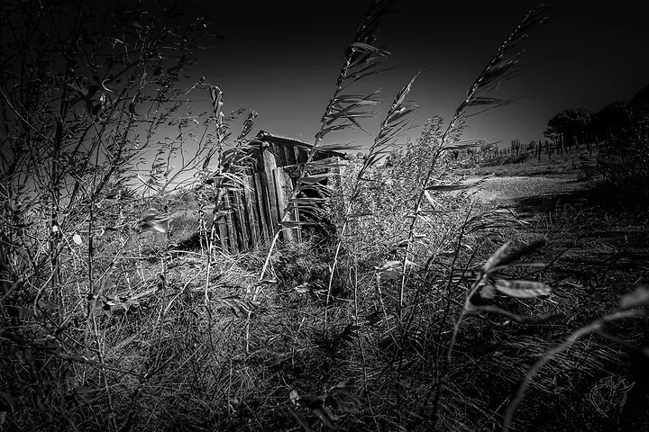 Cabanes - Leucate - Photo n°4