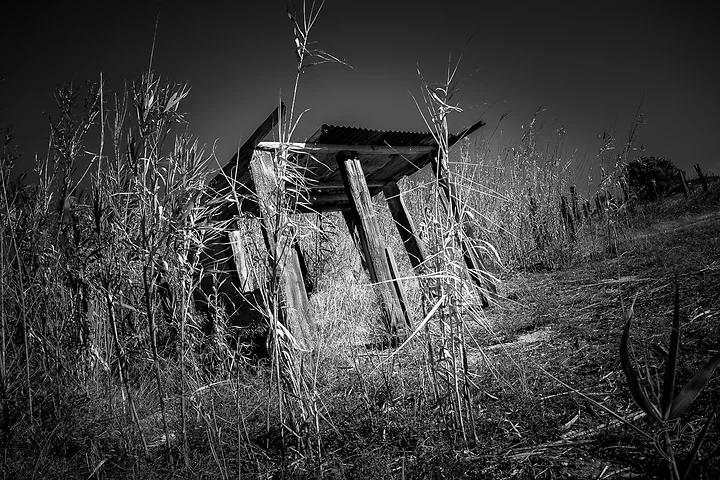 Cabanes - Leucate - Photo n°7