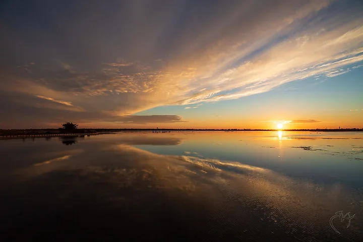 Couch&eacute;s de soleil - Photo n°4