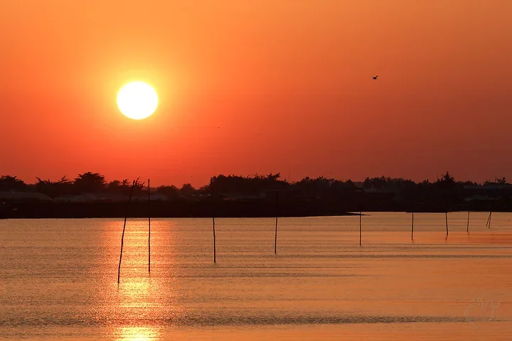 Couch&eacute;s de soleil - Photo n°6