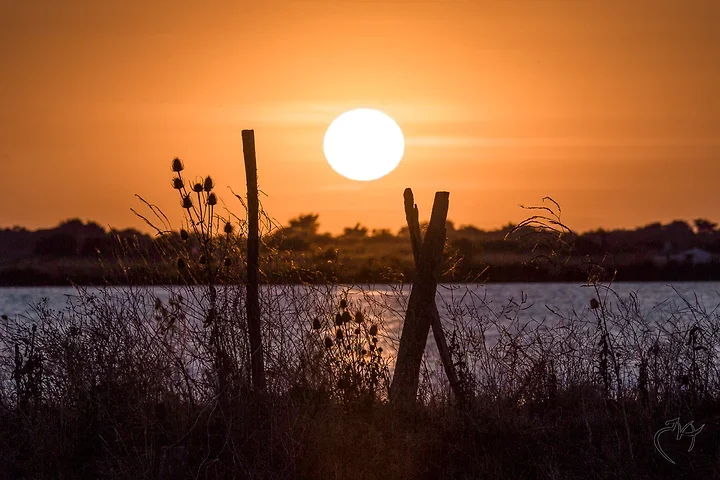 Couch&eacute;s de soleil - Photo n°13