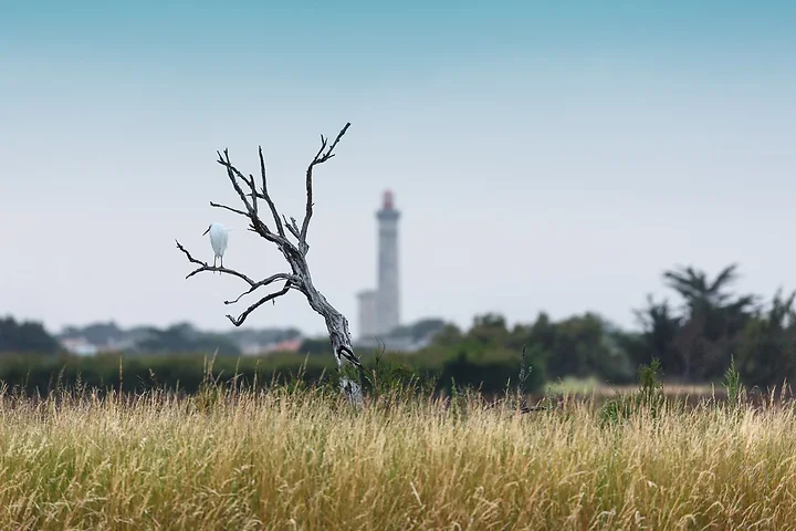 Quelques paysages - Photo n°1