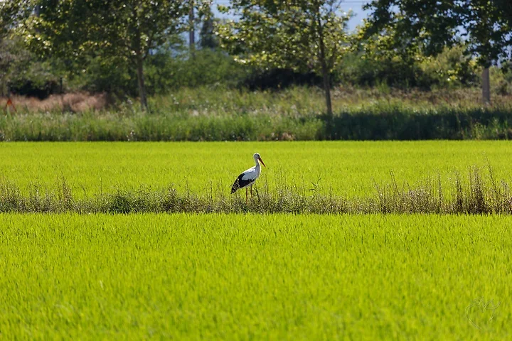 Quelques paysages - Photo n°4