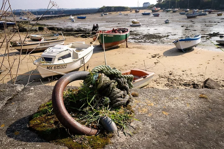 Marines ou presque - Photo n°1