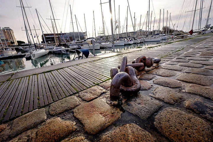 Marines ou presque - Photo n°3