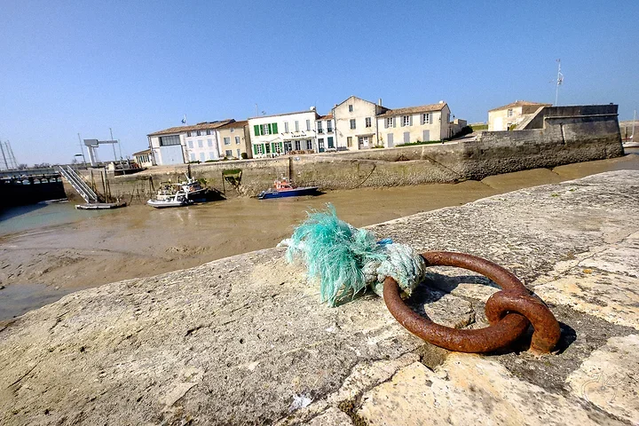 Marines ou presque - Photo n°6