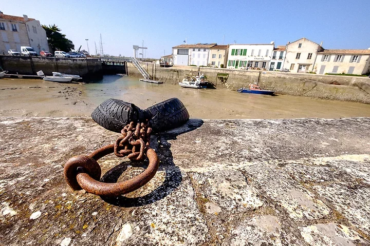 Marines ou presque - Photo n°8