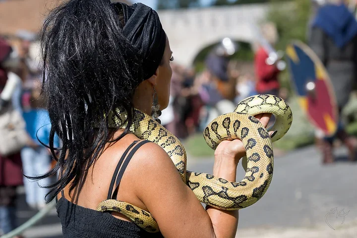 La femme serpent - Photo n°2