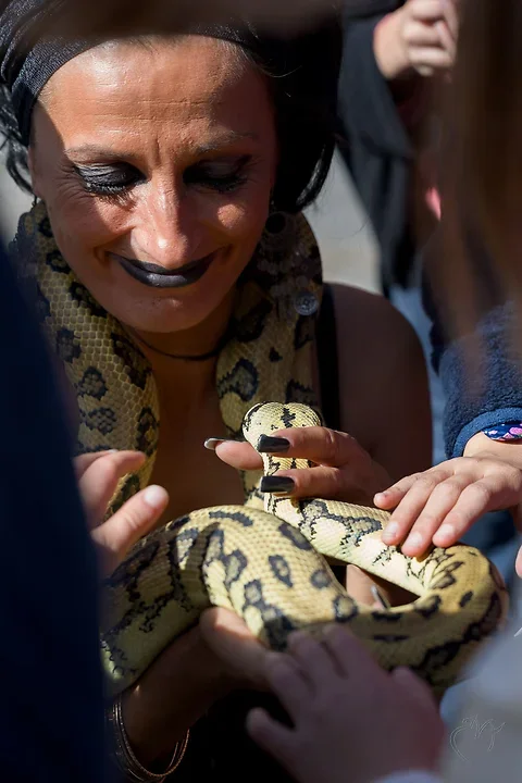 La femme serpent - Photo n°5
