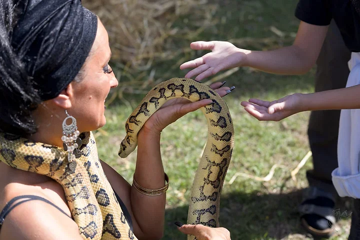 La femme serpent - Photo n°9
