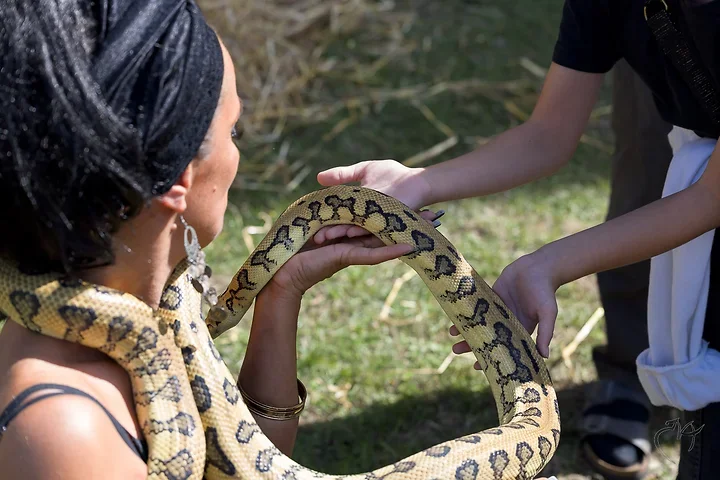 La femme serpent - Photo n°10