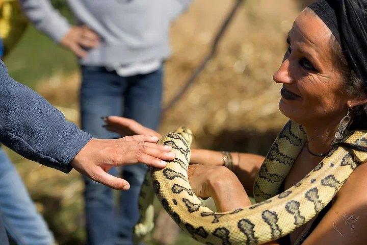 La femme serpent - Photo n°12
