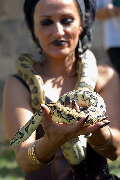 La femme serpent - Photo n°13