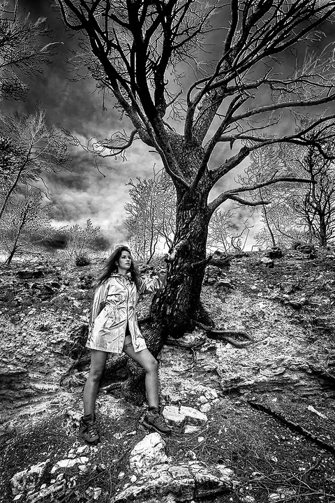 Apocalypse - Photo n°1