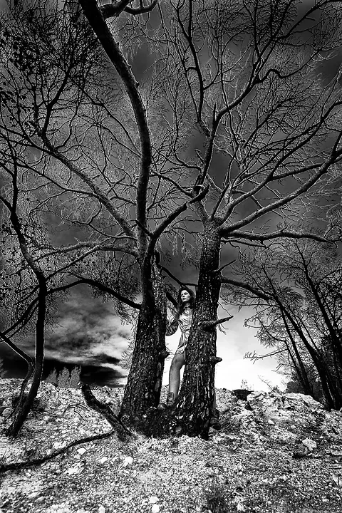 Apocalypse - Photo n°2