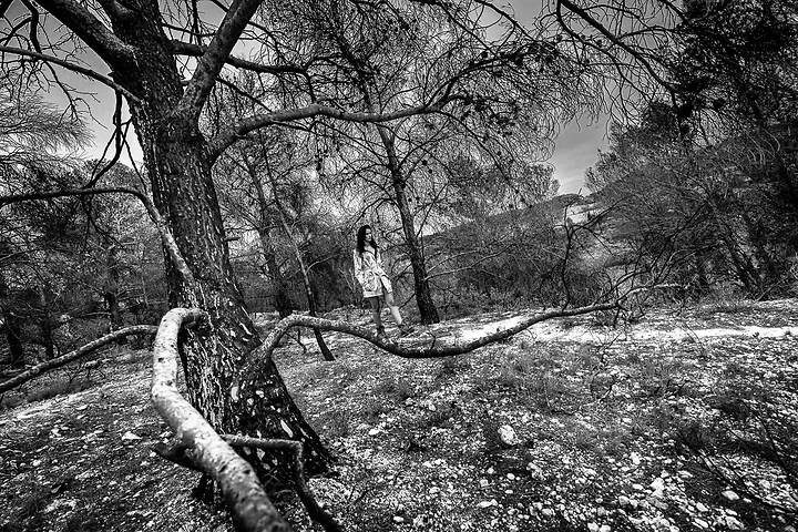 Apocalypse - Photo n°4