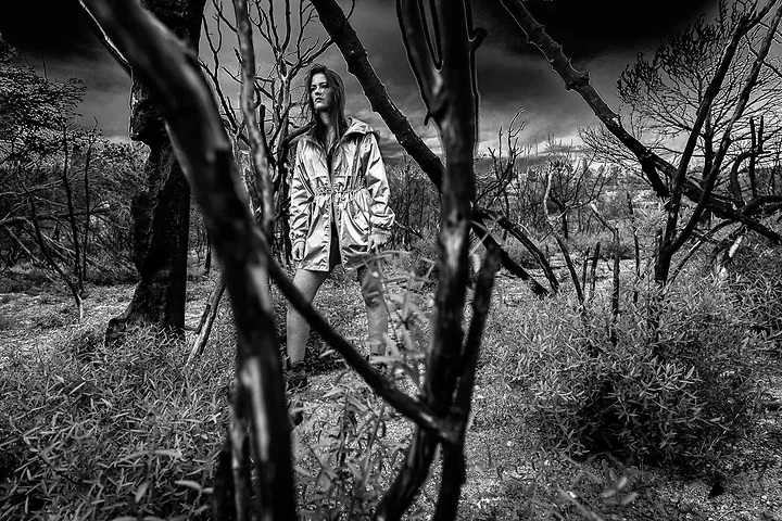 Apocalypse - Photo n°5