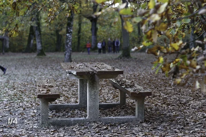 L'ouverture (d&eacute;butant) - Photo n°3