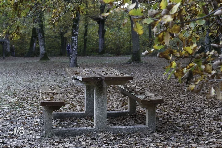 L'ouverture (d&eacute;butant) - Photo n°4