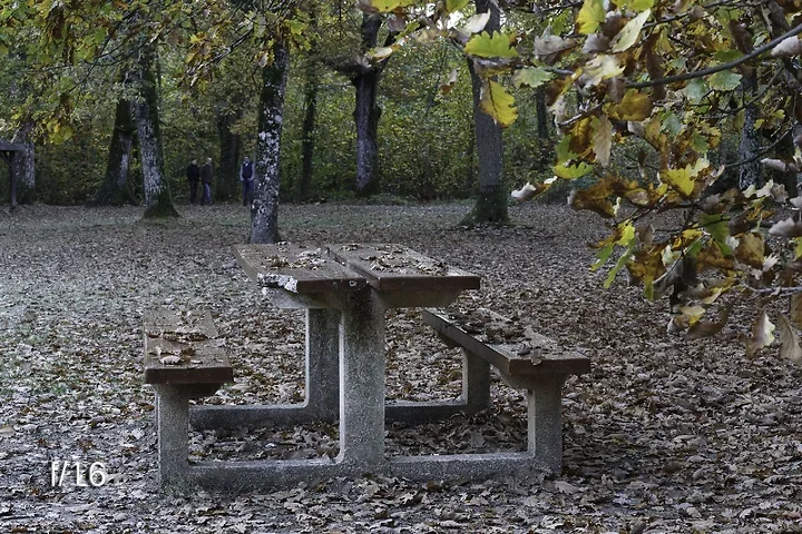 L'ouverture (d&eacute;butant) - Photo n°5