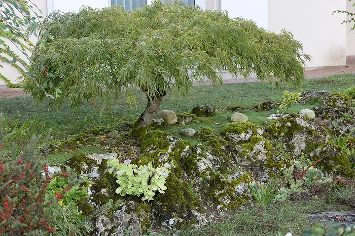 Exemple Profil lin&eacute;aire - Photo n°1